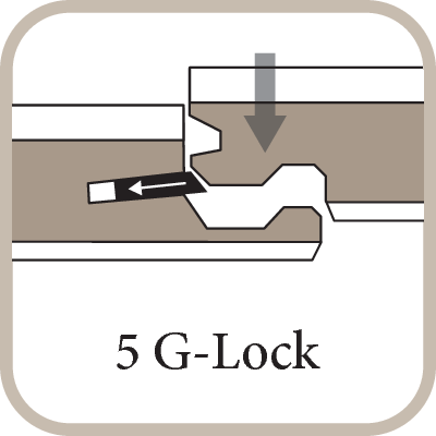 Iconiță 5g lock