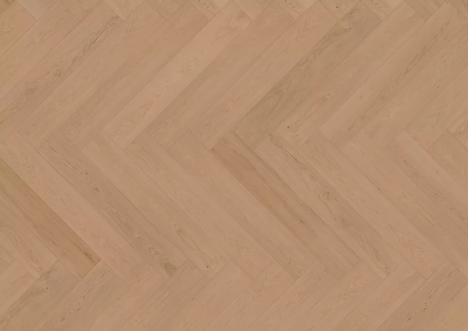 Hywood Stejar Pirin detaliu