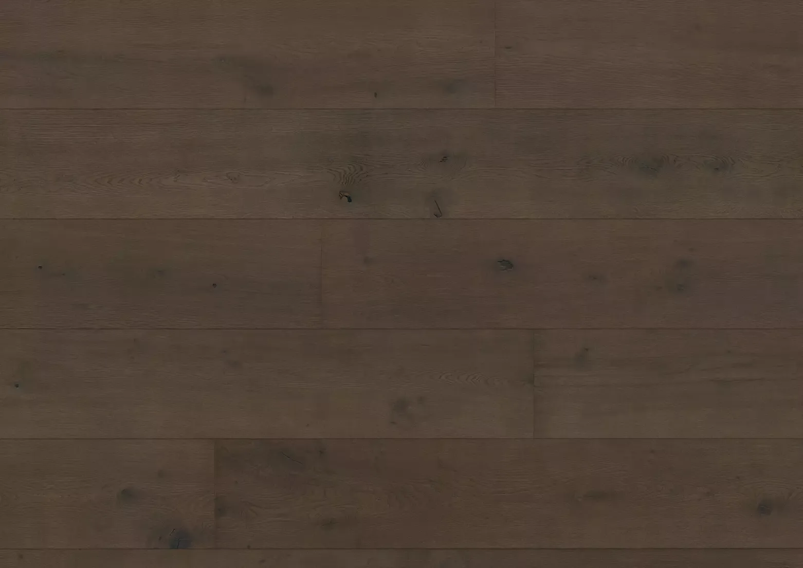 Hywood stejar Sumava detaliu