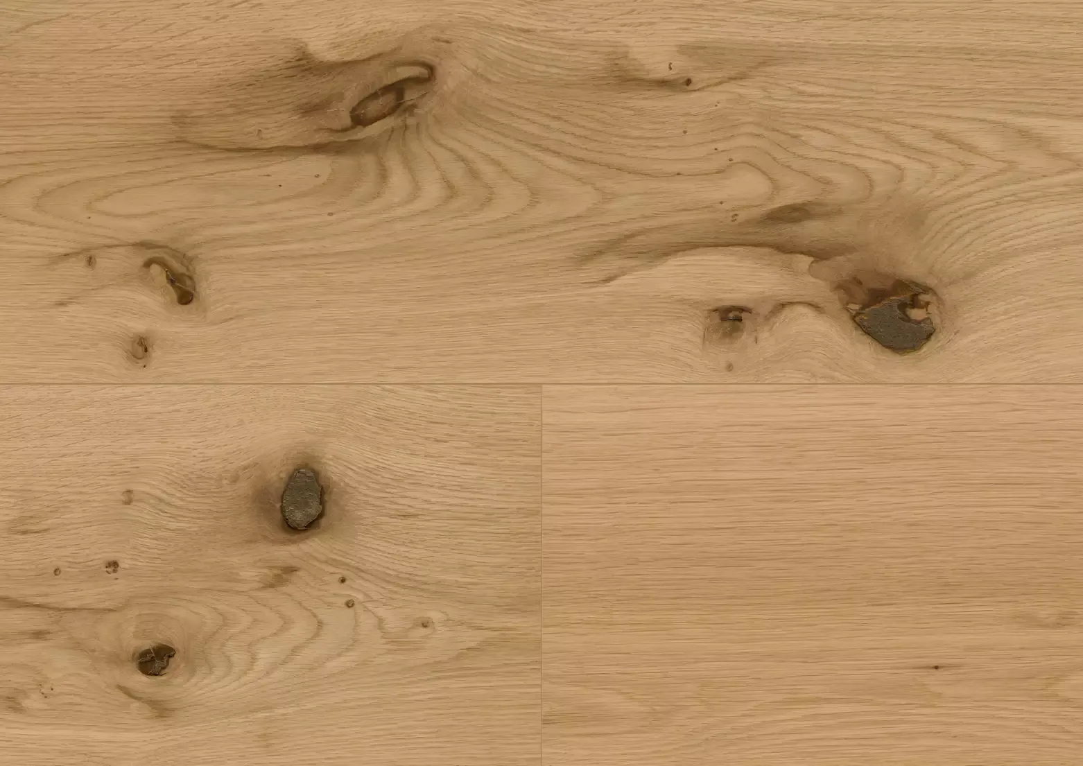 Hywood stejar Wind Cave detaliu