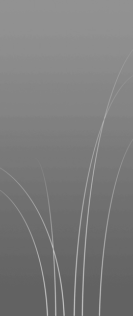 Ușă de sticlă securizată la comandă | Kulttur